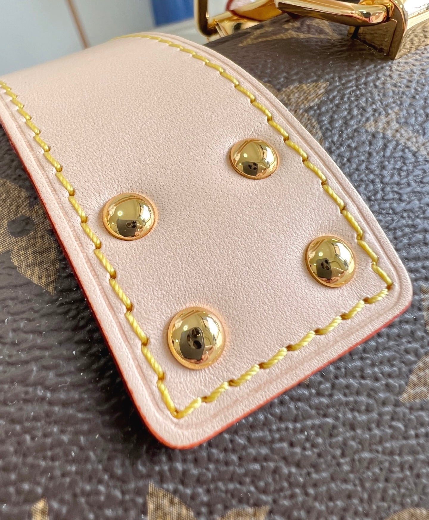 Louis Vuitton Speedy Trunk 20