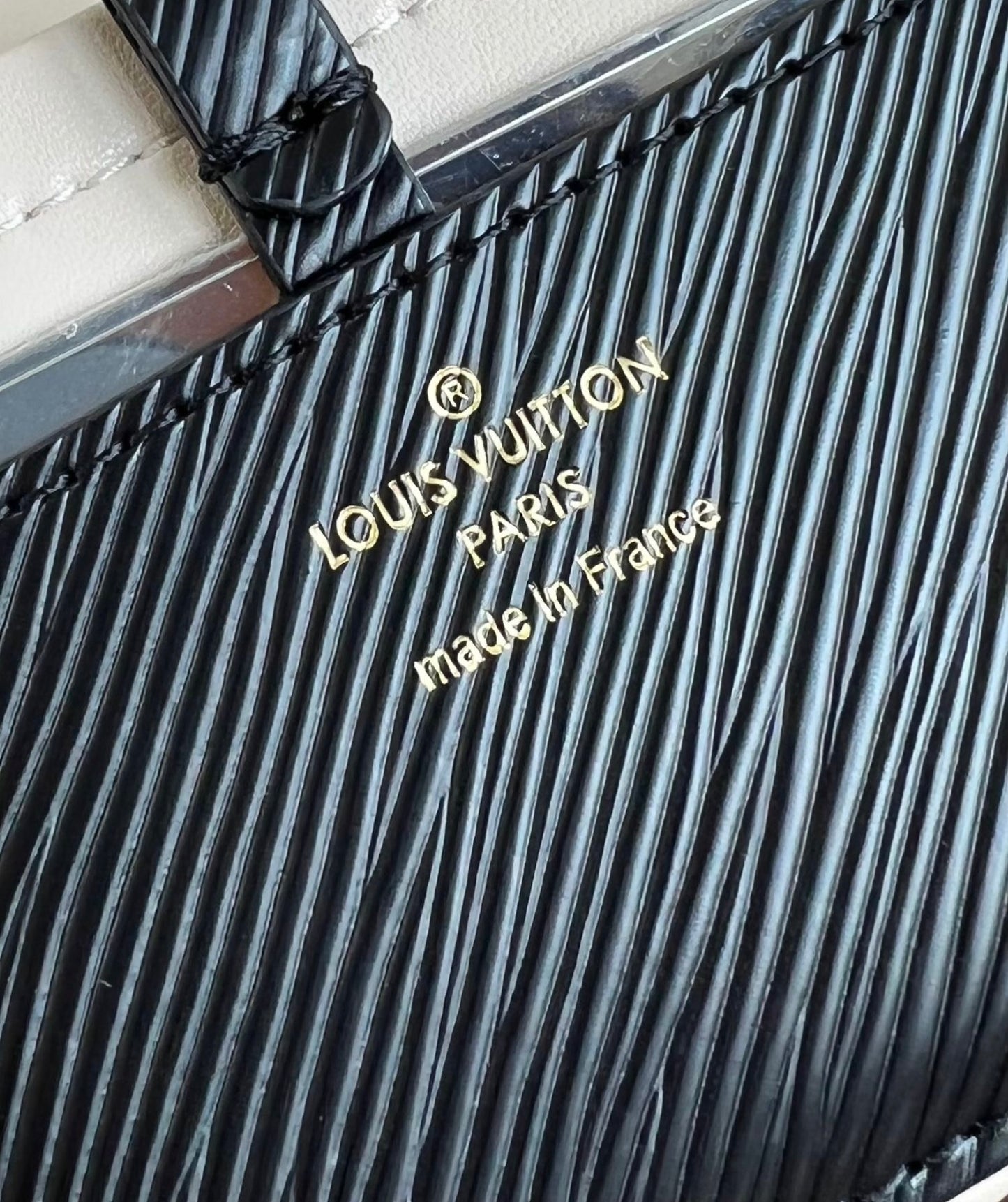 Louis Vuitton Twist PM