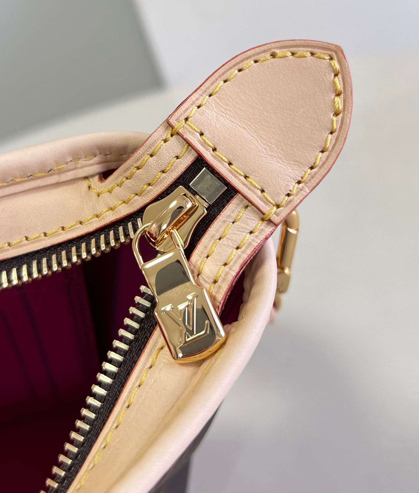 Louis Vuitton Neverfull mini