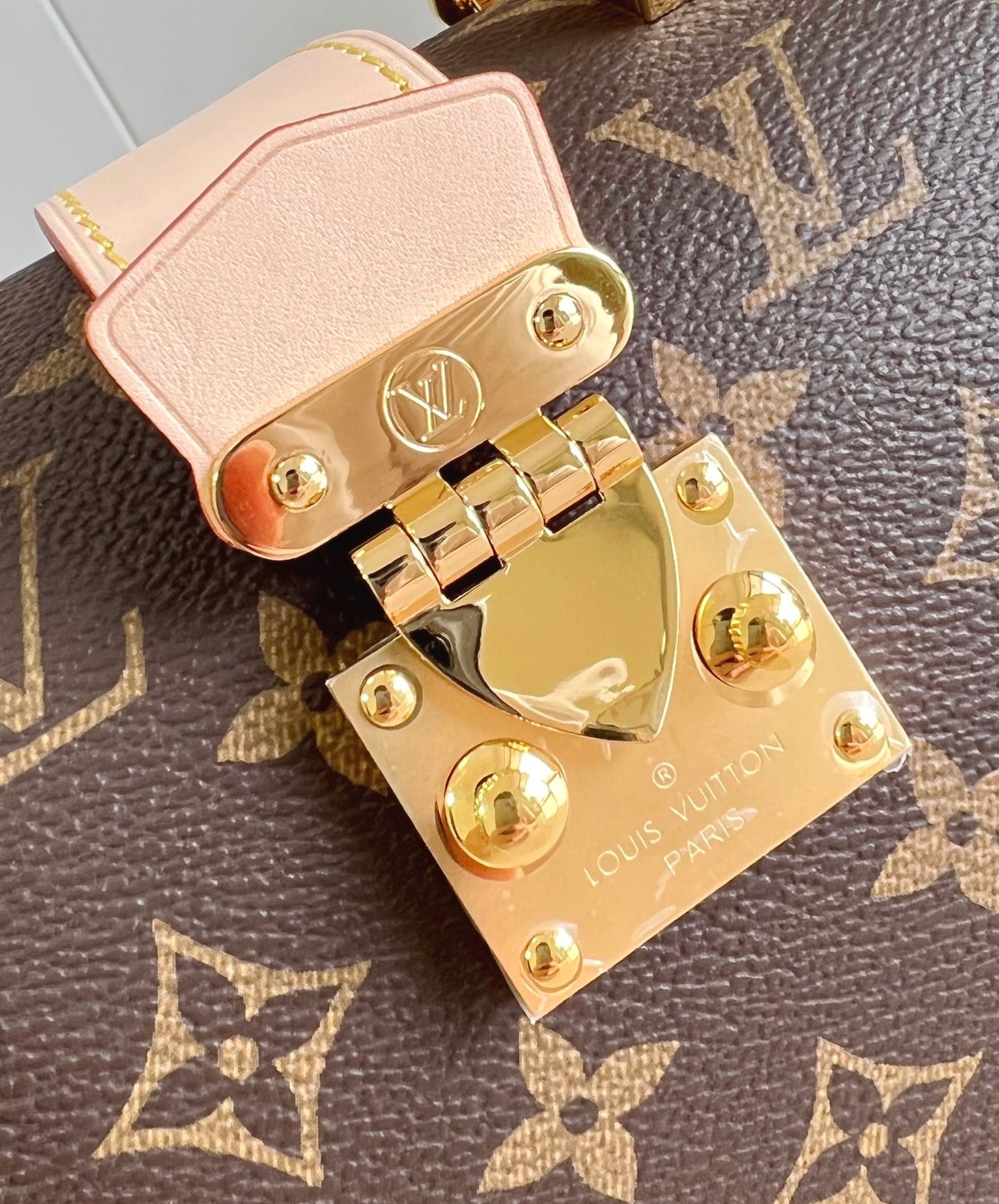 Louis Vuitton Speedy Trunk 20