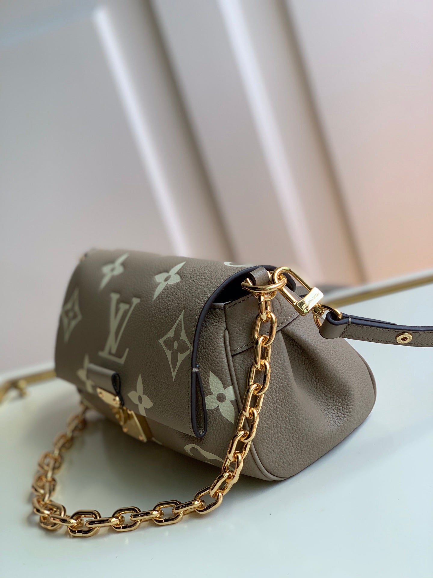 Louis Vuitton Favorite