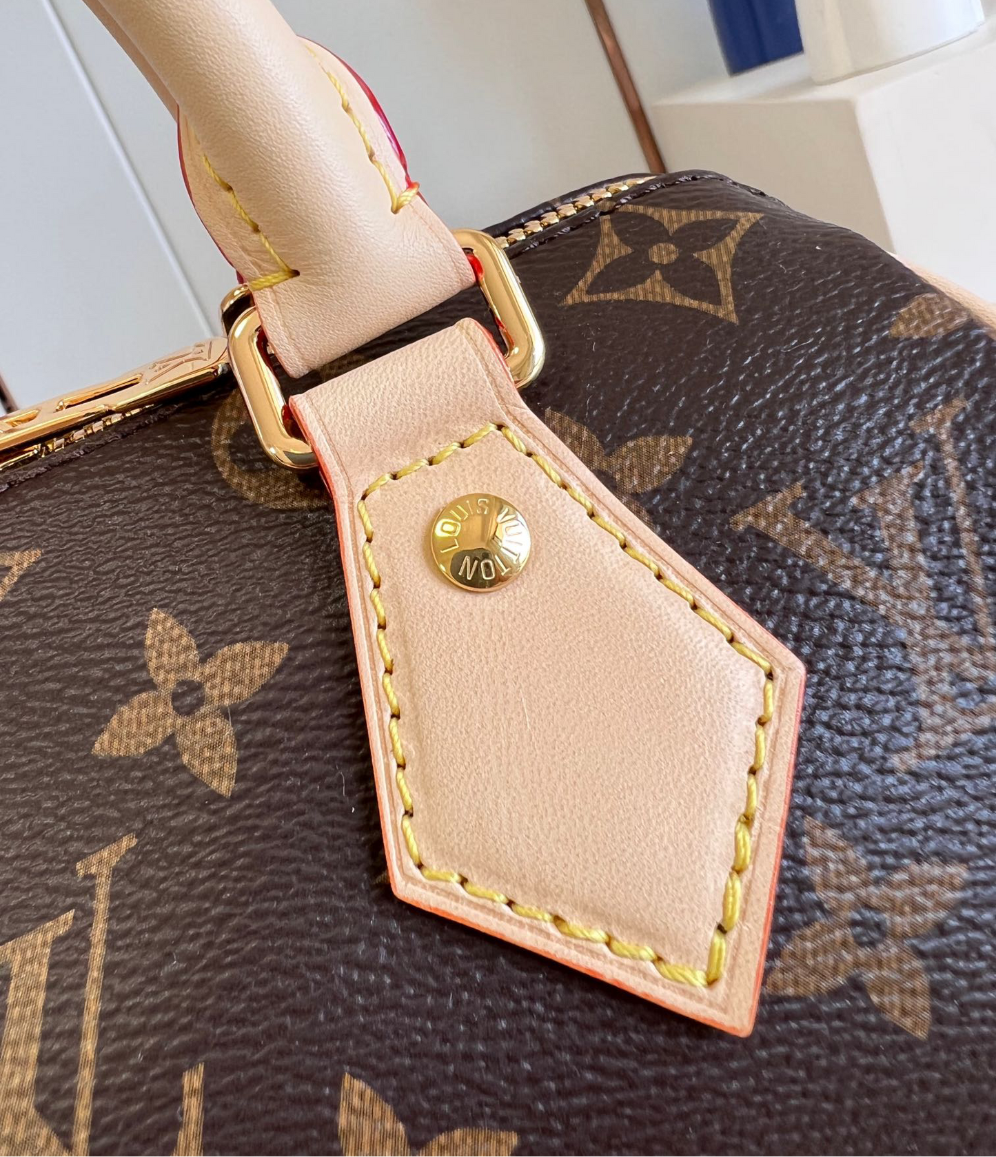 Louis Vuitton Speedy Bandoulière 20