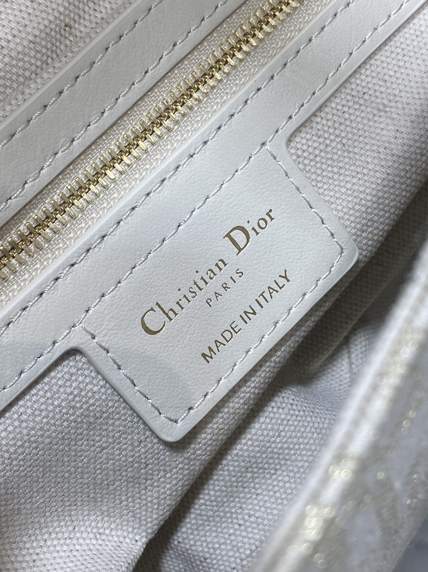 Dior Saddle