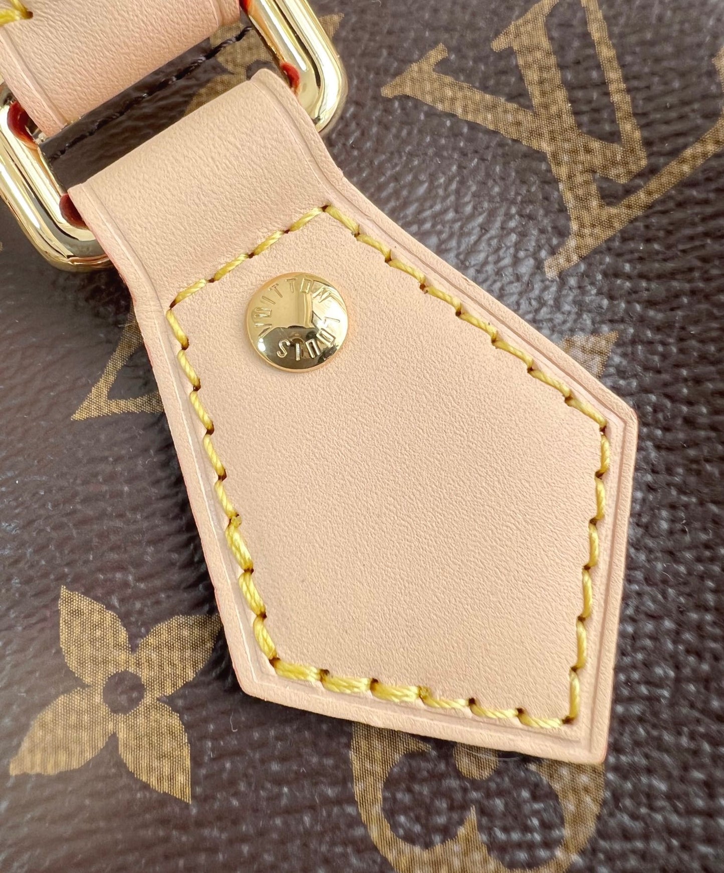 Louis Vuitton LV x TM Speedy Bandoulière 20
