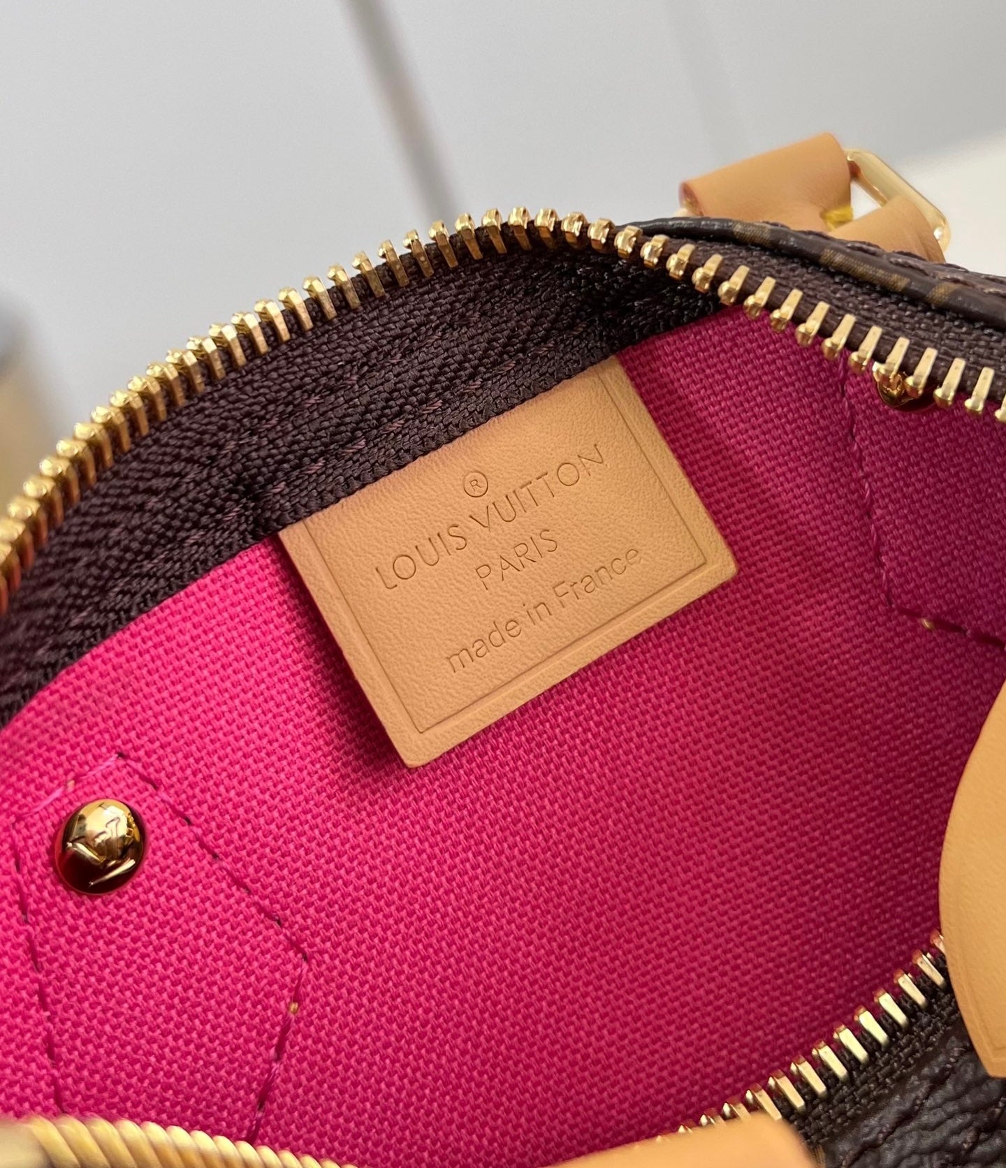 Louis Vuitton Nano Speedy Vivienne