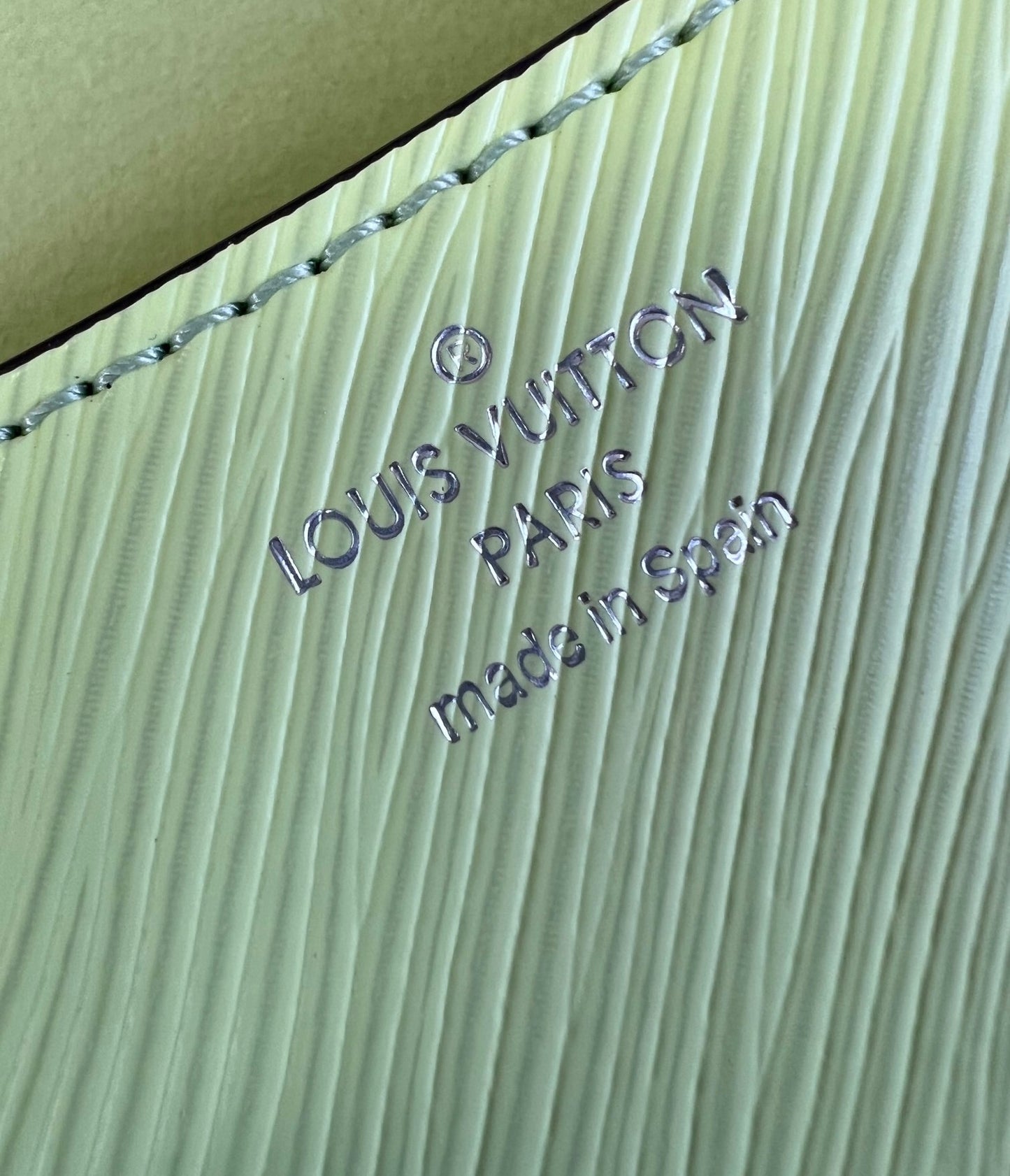 Louis Vuitton Epi Buci