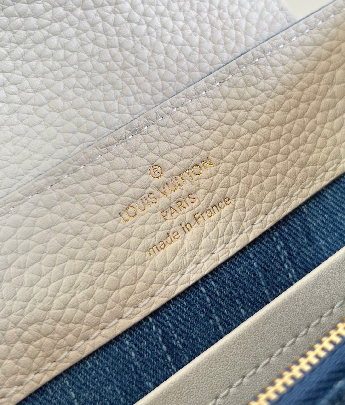 Louis Vuitton Capucines mini