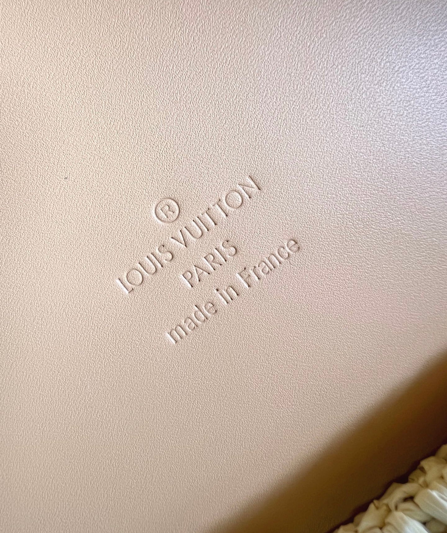 Louis Vuitton tote Summer Shopper MM