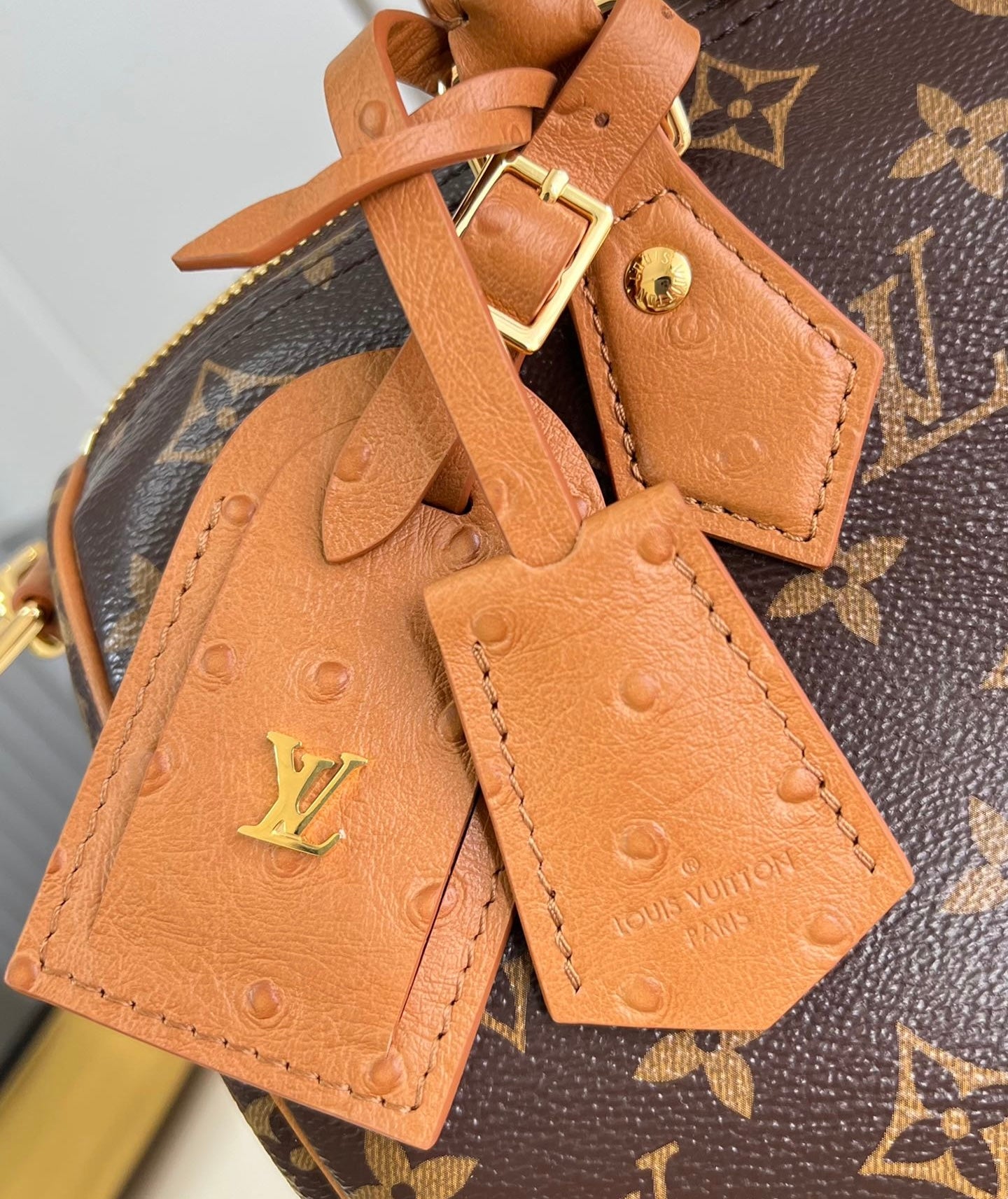 Louis Vuitton Speedy Soft 30 Boho