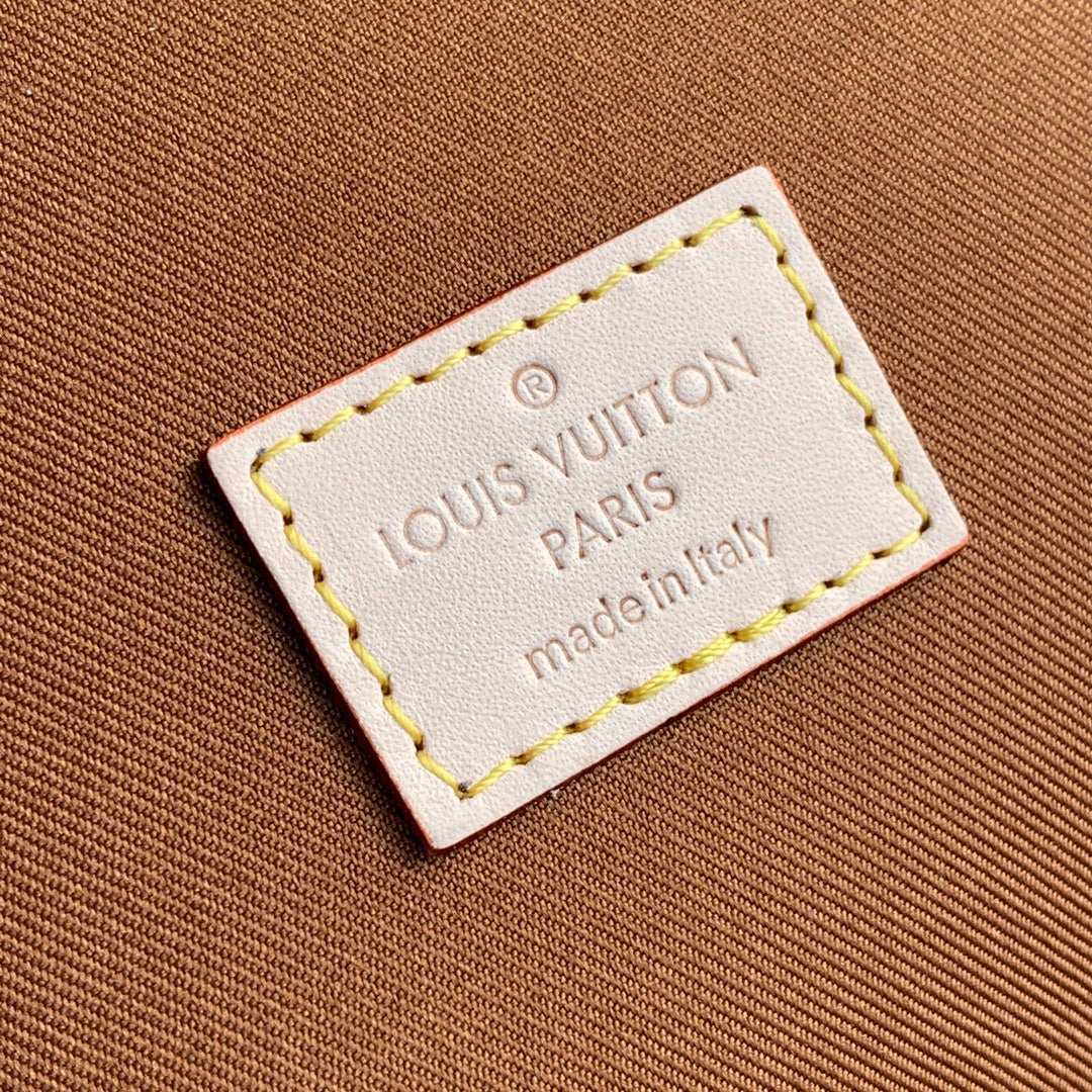 Louis Vuitton cubo da viaggio