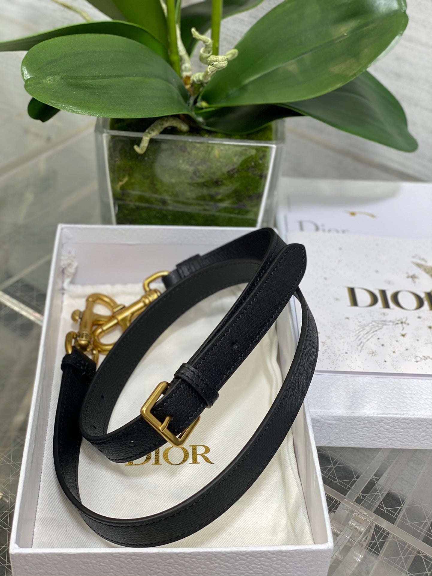 Dior Saddle