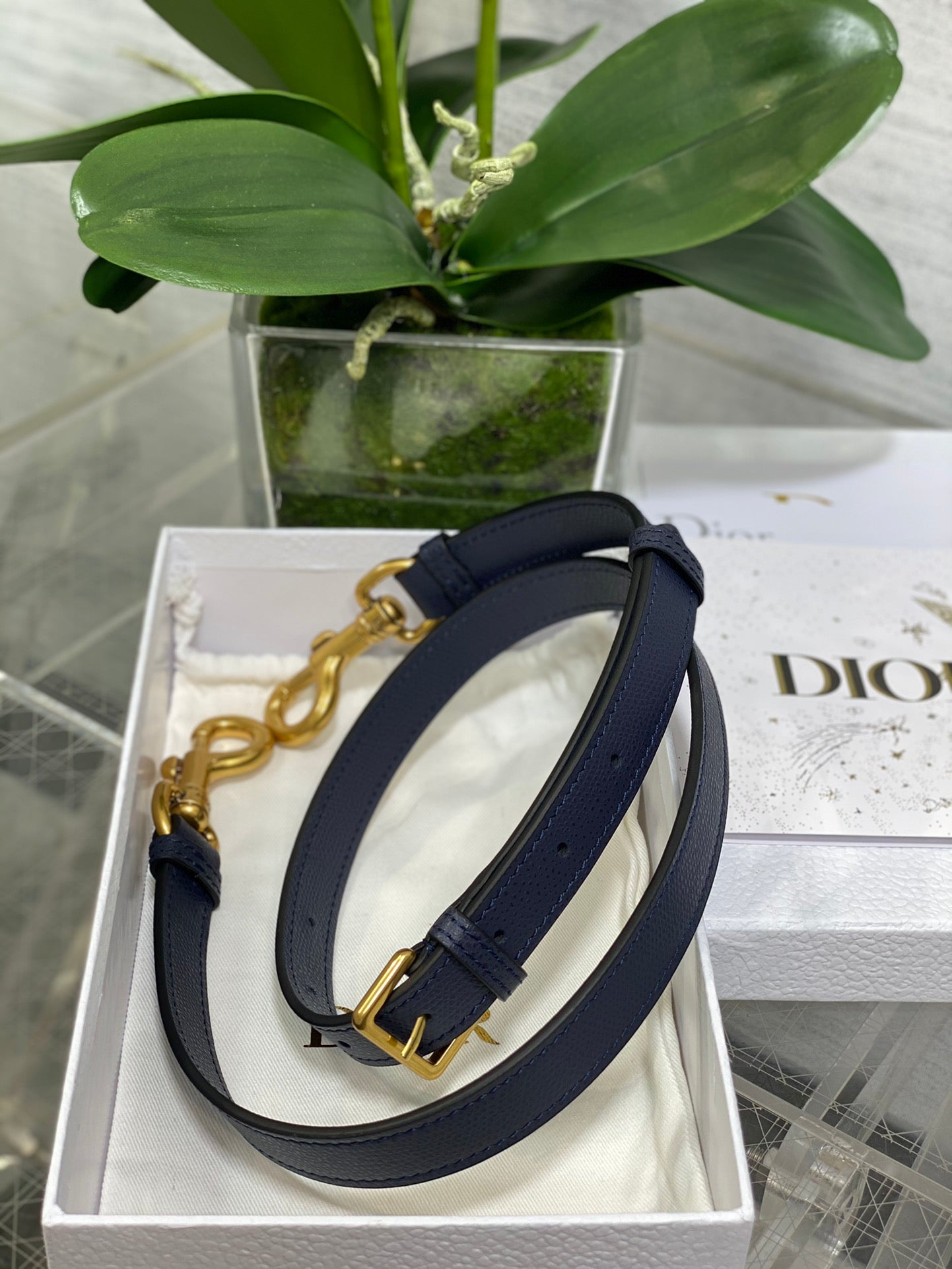 Dior Saddle