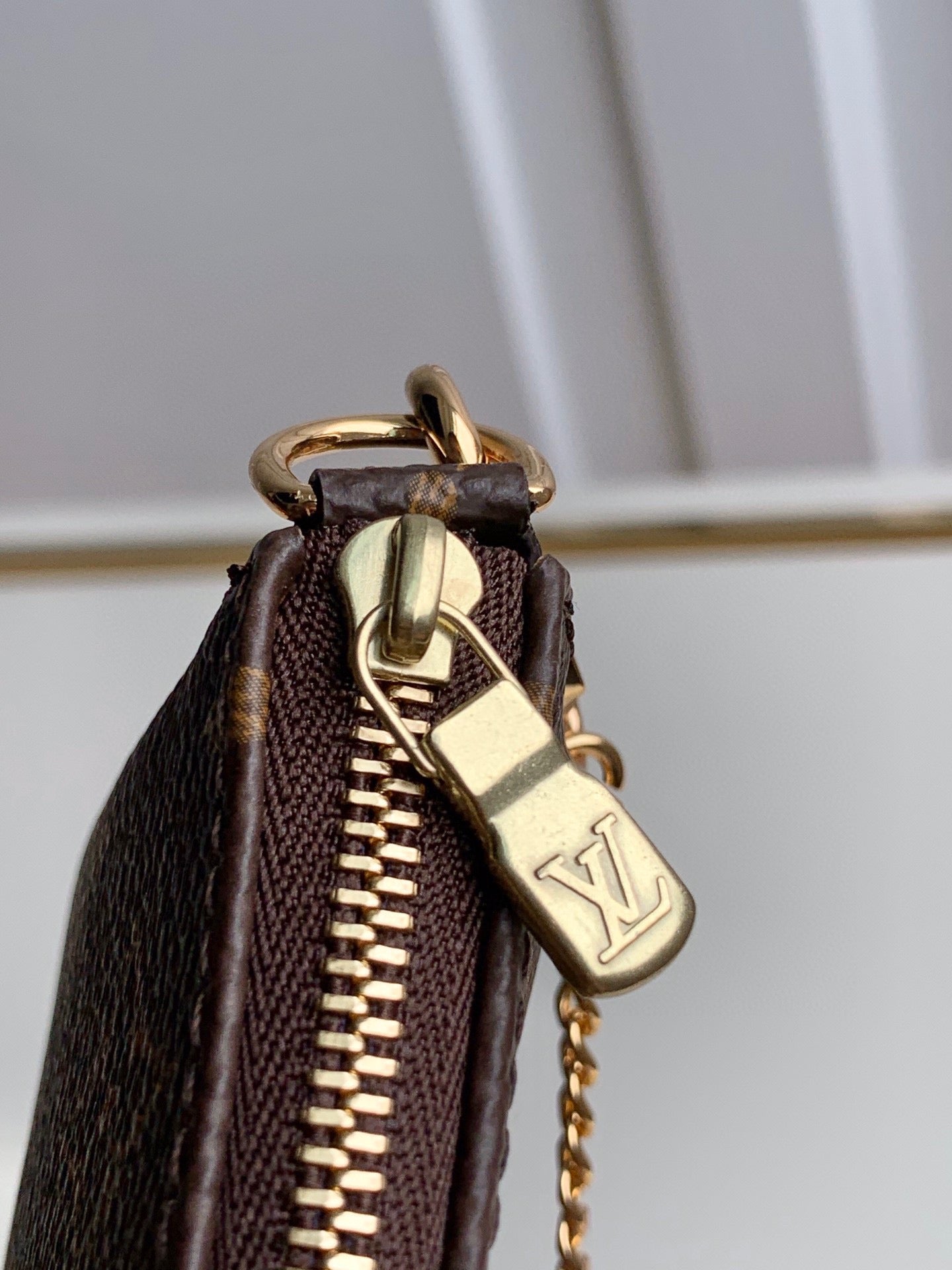Louis Vuitton Mini pochette