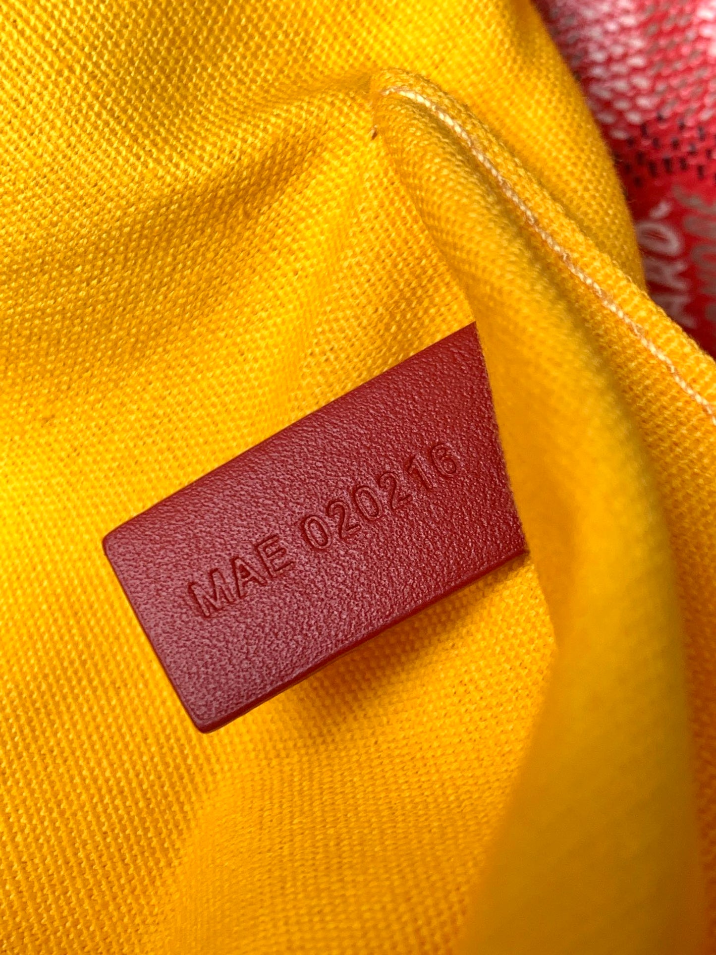 Goyard Boeing