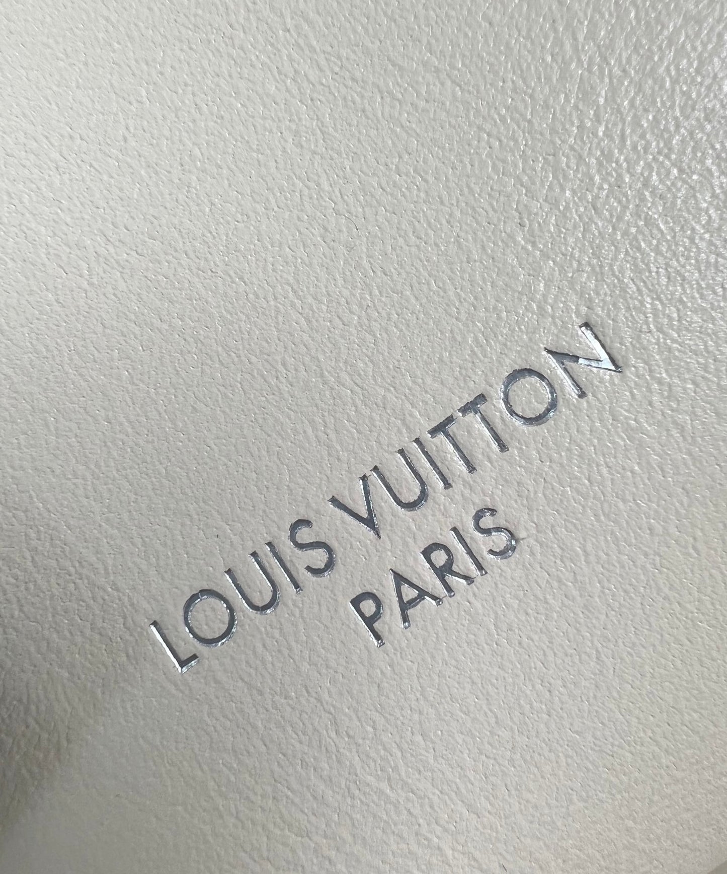 Louis Vuitton Speedy Cargo Vibe
