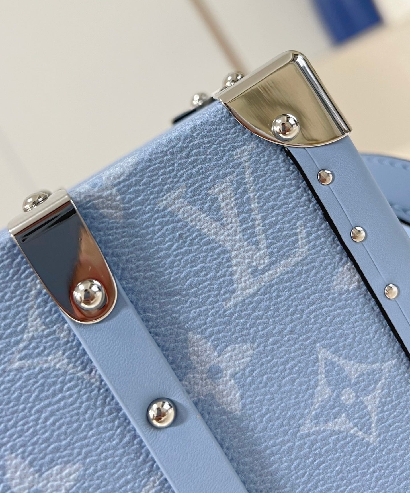 Louis Vuitton Trunk Taigarama