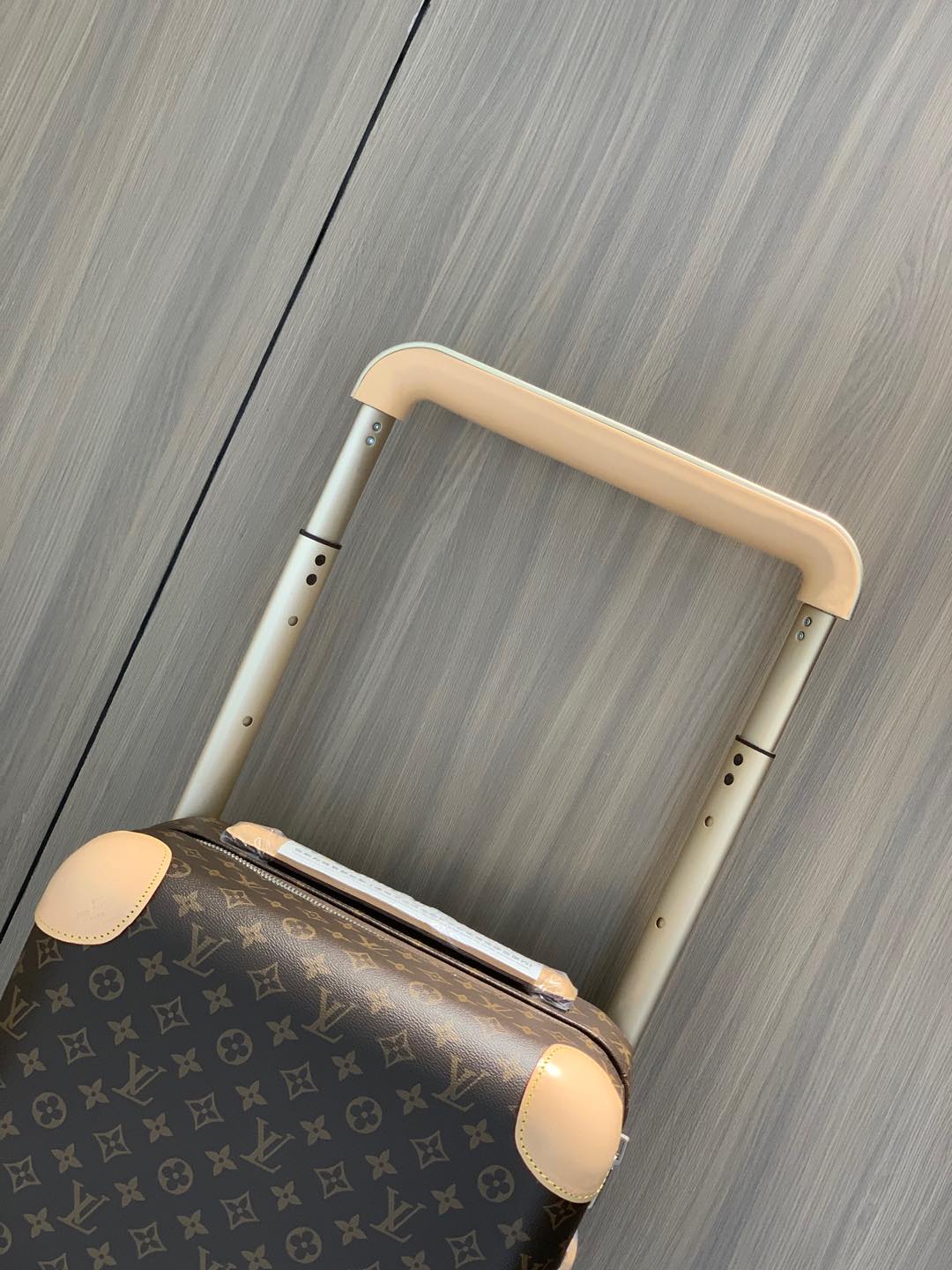 Trolley Louis Vuitton Horizon 55