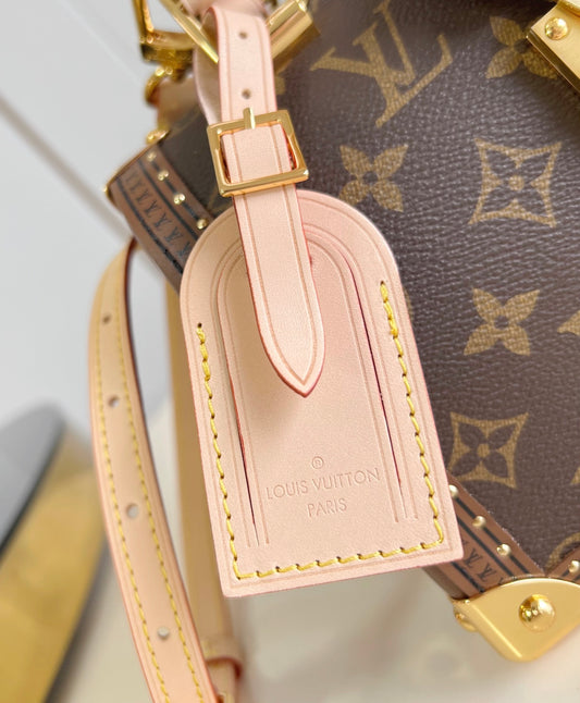 Louis Vuitton Speedy Trunk 20