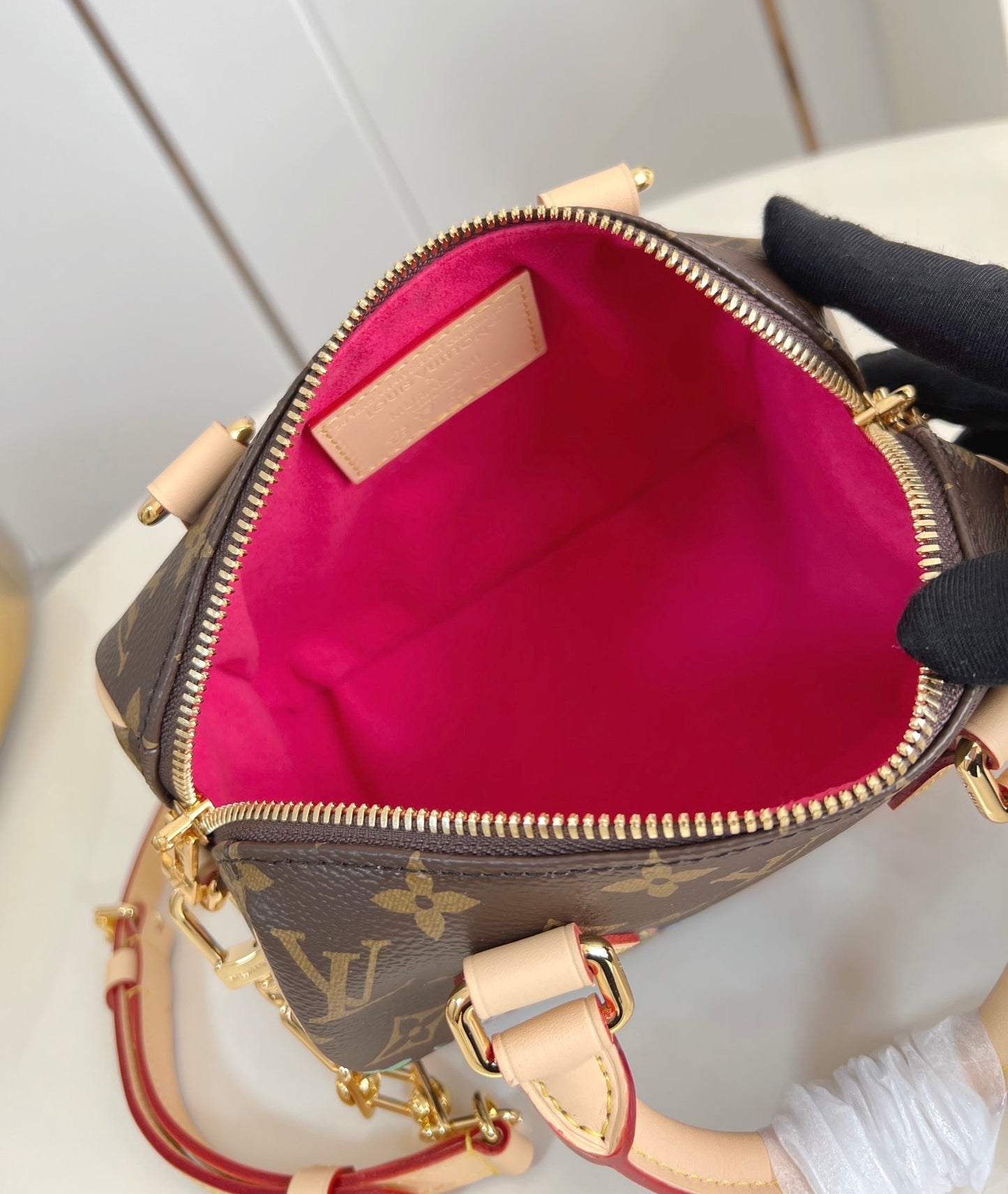 Louis Vuitton LV x TM Speedy Bandoulière 20