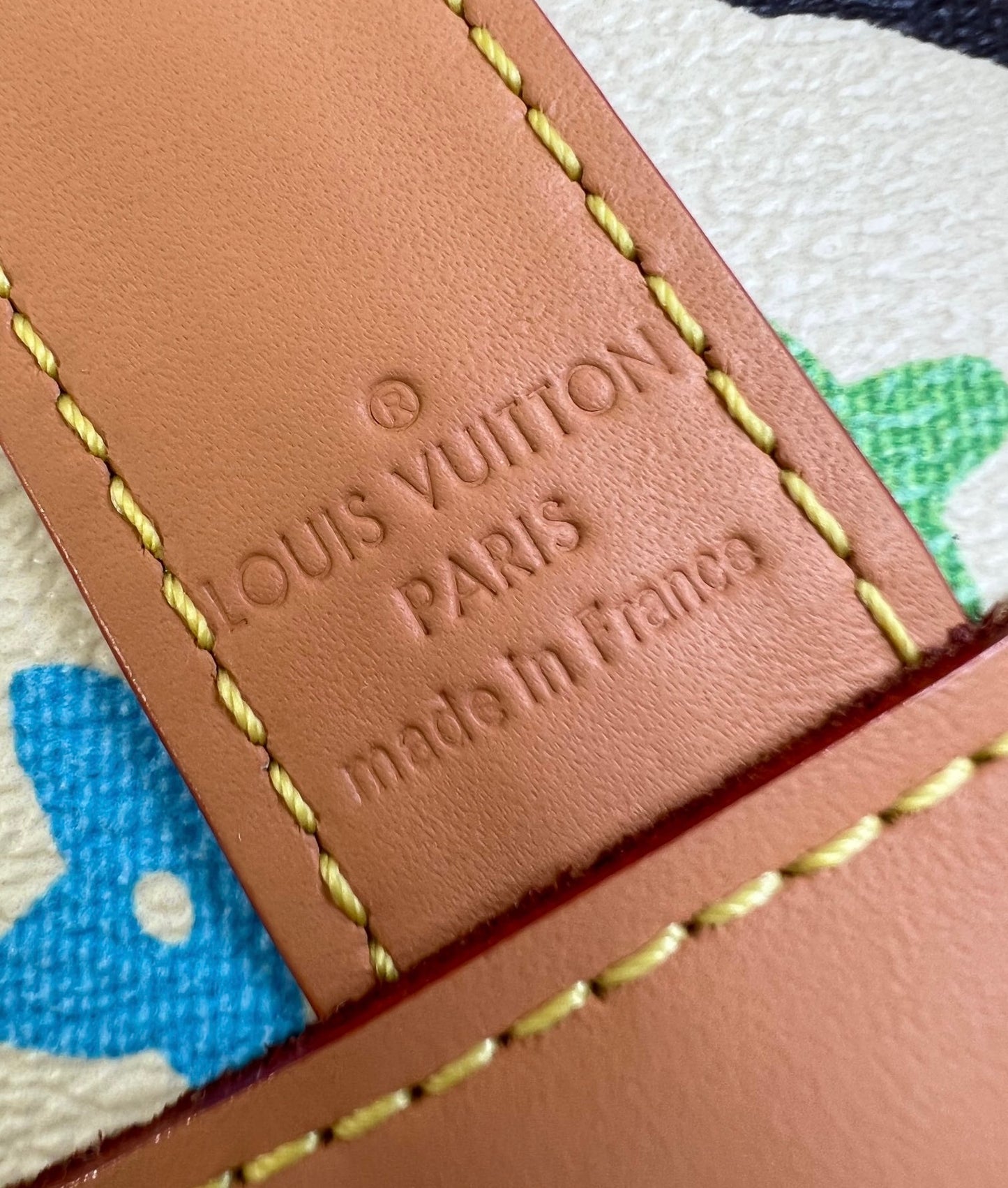 Louis Vuitton Craggy Envelope Pouch