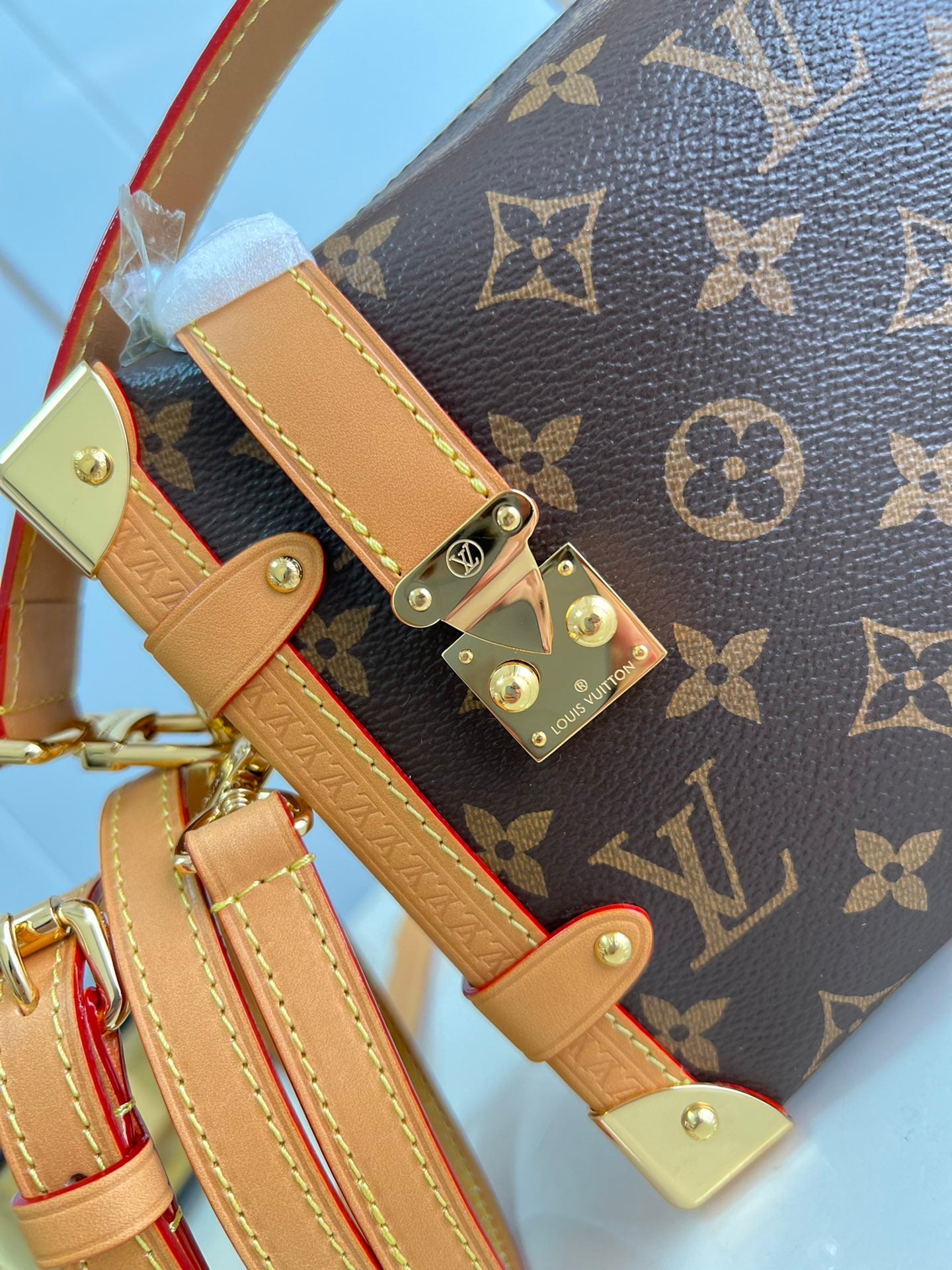 Louis Vuitton Side Trunk PM
