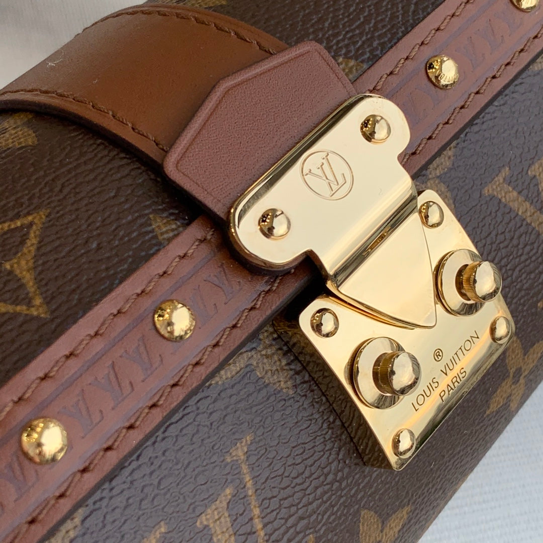 Louis Vuitton Papillon Trunk
