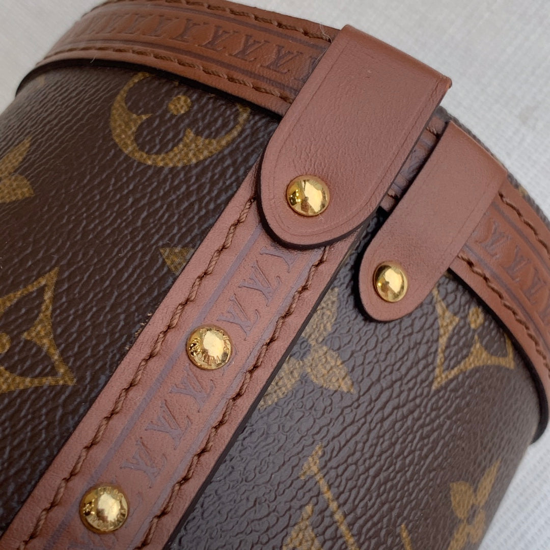 Louis Vuitton Papillon Trunk