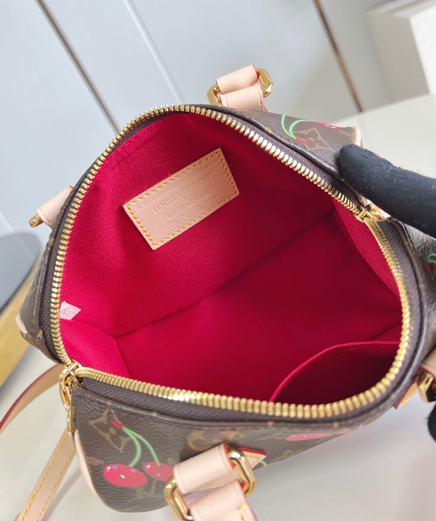Louis Vuitton  x TM Speedy Bandoulière 20